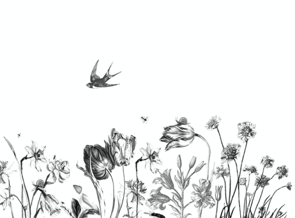 behang bloemenveld zwart wit lijntekening