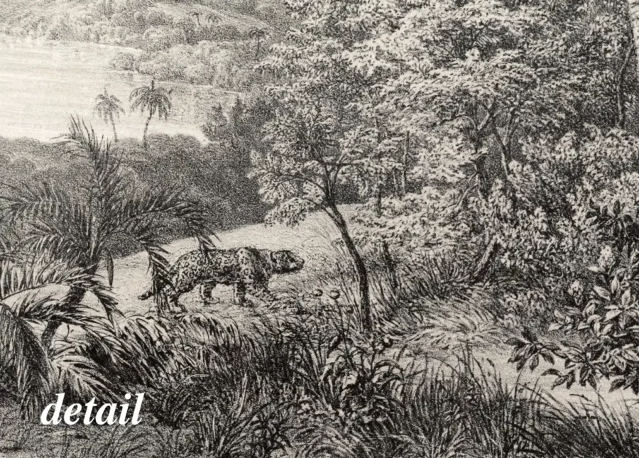 palmbomen in landschap detail