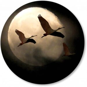 Cirkelbehang_kraanvogels-maan.png