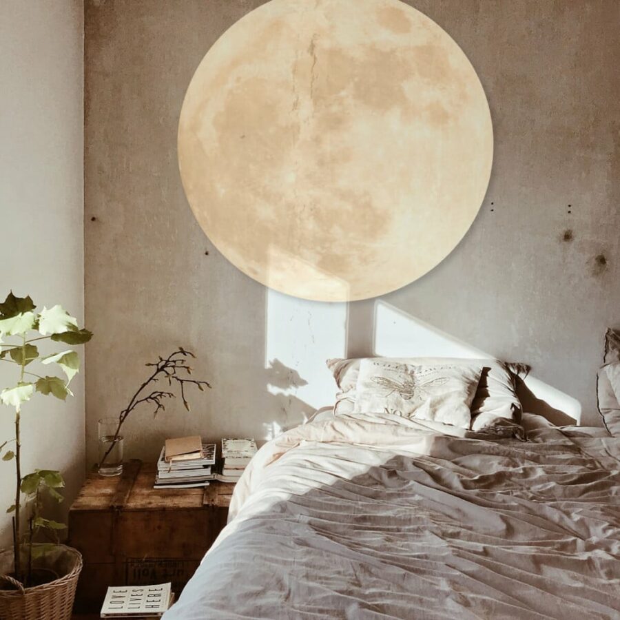 Bloedmaan-volgfoto5.jpg