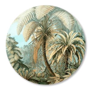 Palmboom_wandcirkel_muurcirkel-Jungle-Haeckle.png