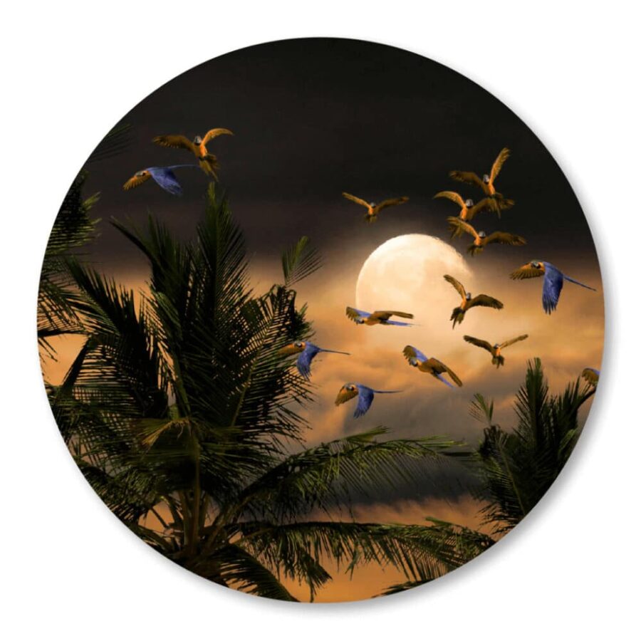 Wandcirkel met papapaai, maan parrot moon