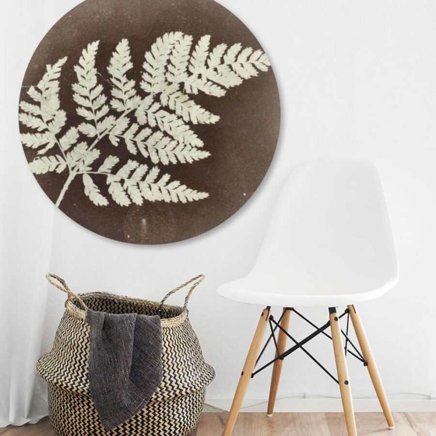 Fern-volgfoto1.jpg