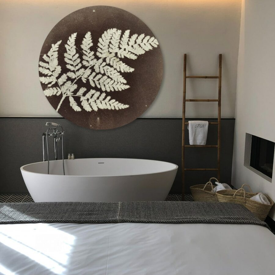 Fern-volgfoto3.jpg