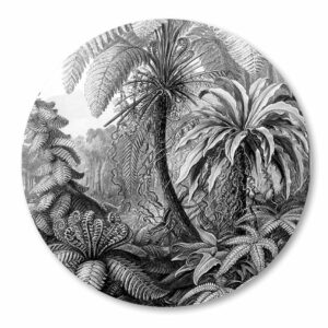 Jungle-Haeckel-zwartwit-wandcirkel_muurcirkel.png
