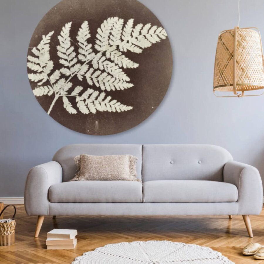 Fern-volgfoto2.jpg