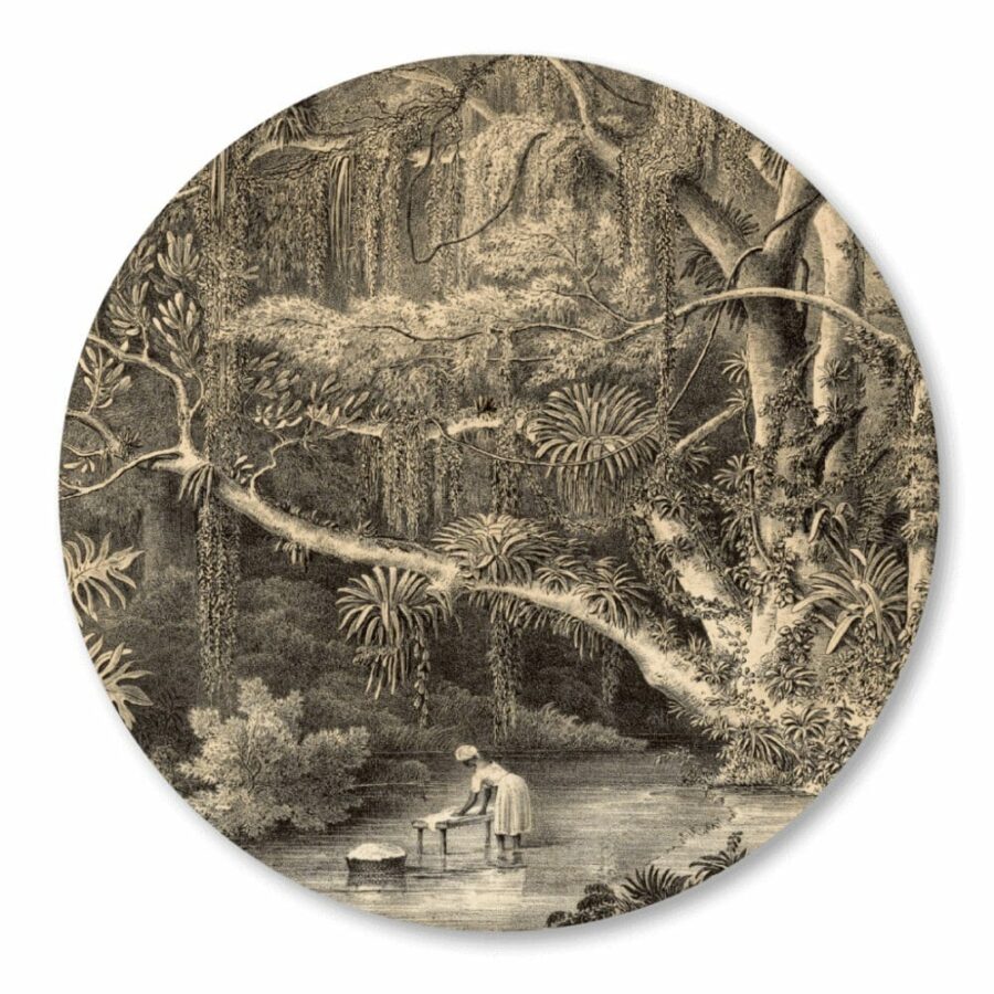 Behangcirkel-Jungle-bij-Rivier.png