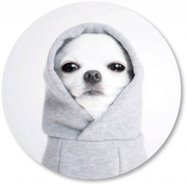 Behangcirkel-kinderkamer-hond.png