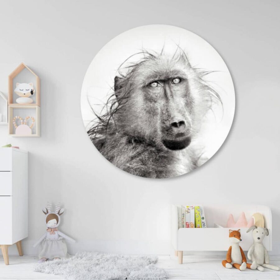 Portret-Babboon-cirkelbehang.jpg