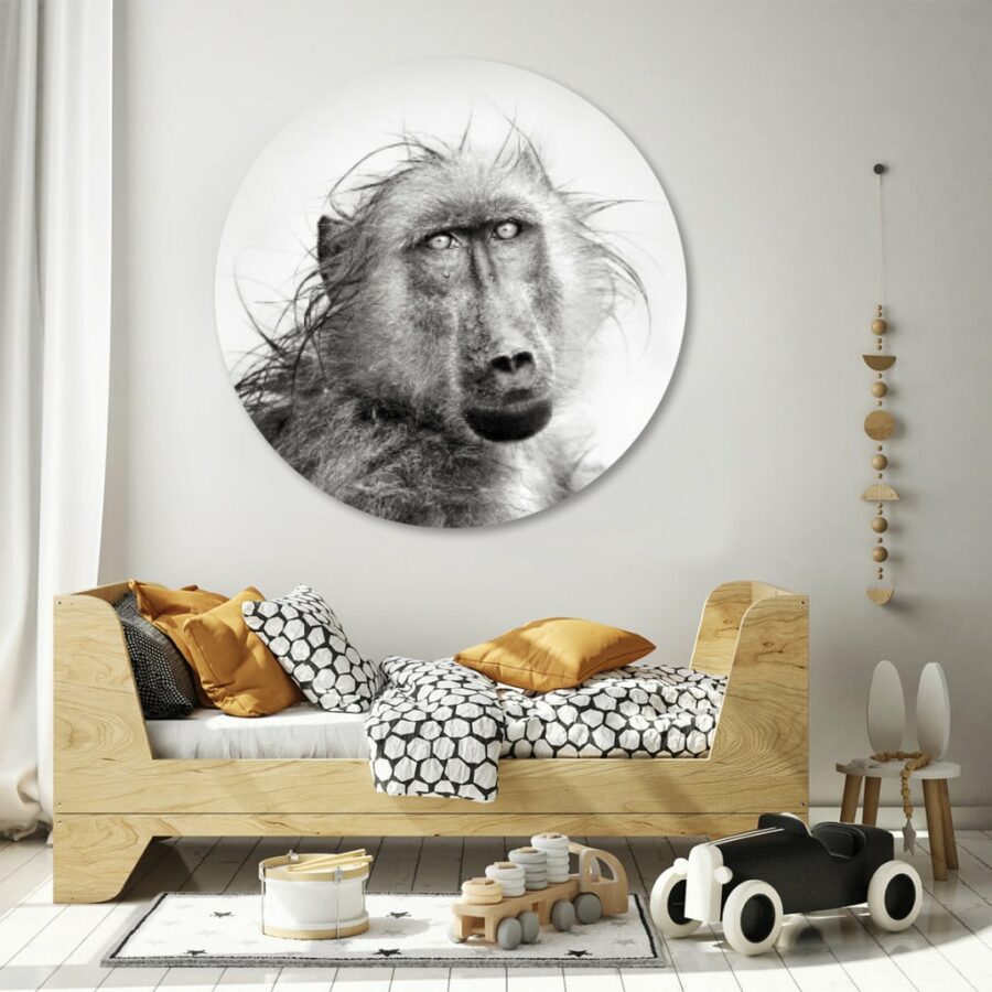 Portret-Baboon-volgfoto2.jpg