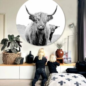 Wandcirkel-Schotse-Hooglander.jpg