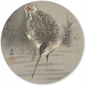 Muurcirkel-vogelbehang-grutto.png