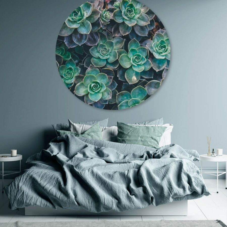 vetplantjes-volgfoto4.jpg