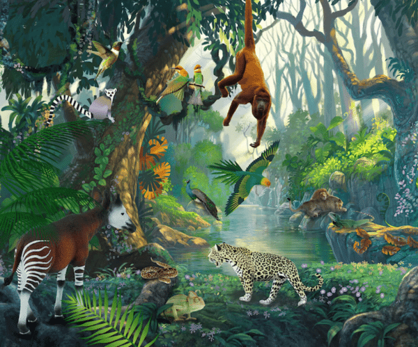behang met wilde dieren in de jungle of regenwoud rainforest
